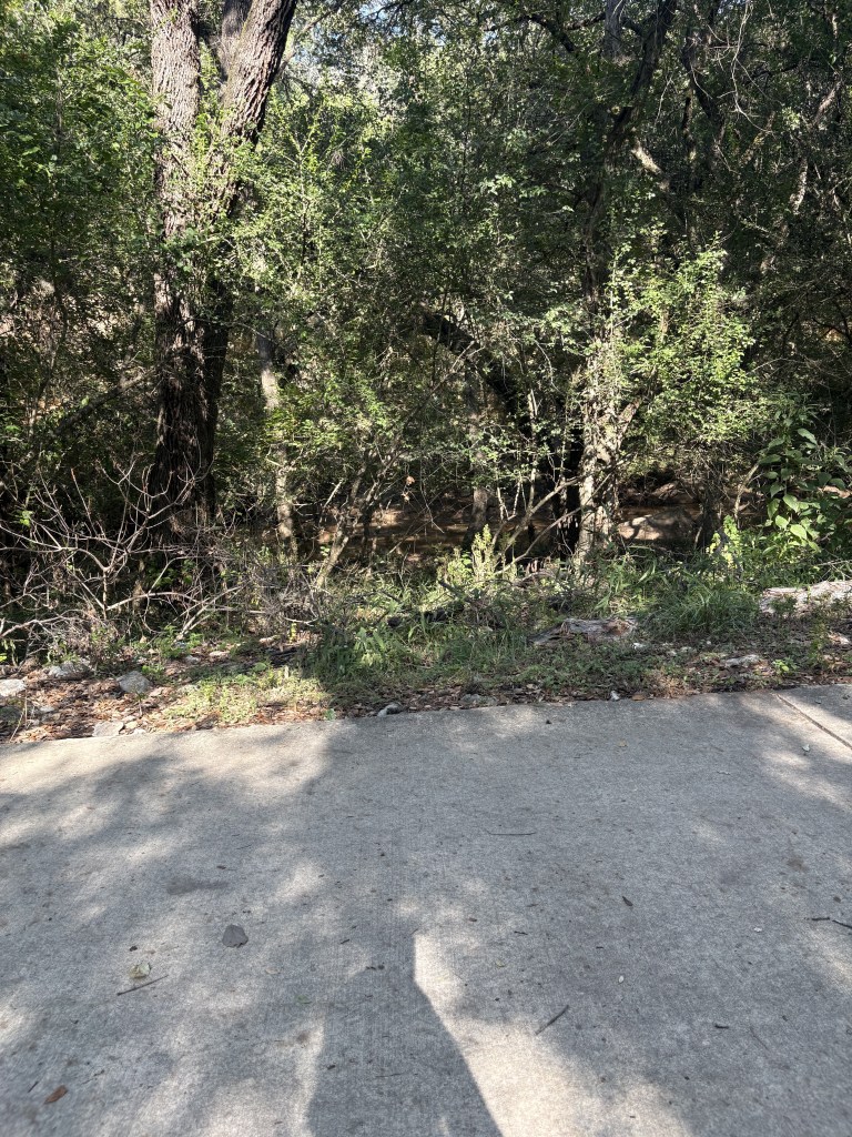 A view of a concrete path leading to a wooded area with dense greenery and trees.